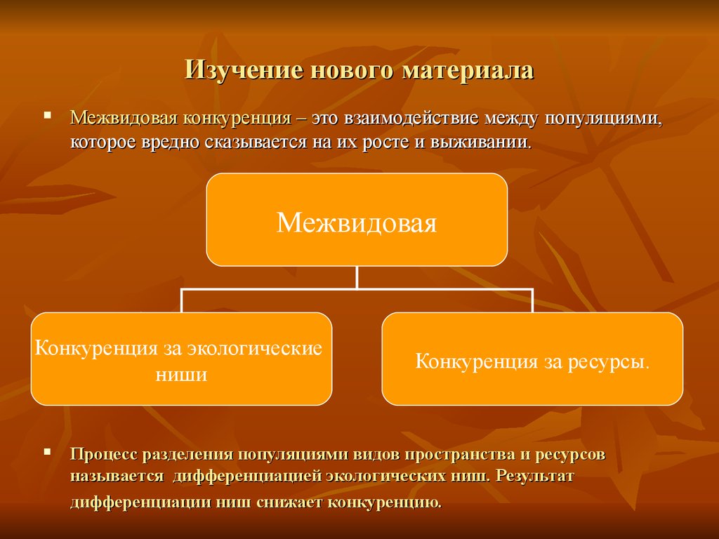 Конкуренция — взаимоотношения отрицательного типа — урок. Биология, 11 класс.