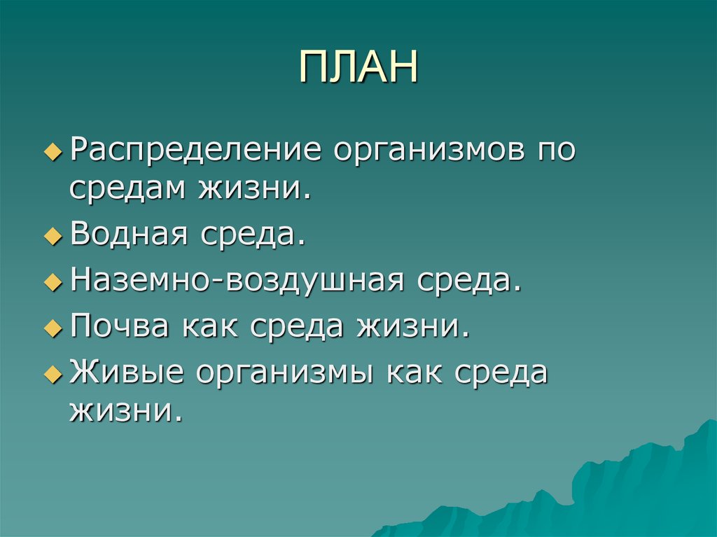 Планы на среду