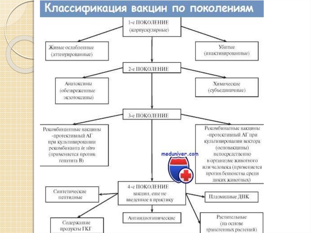 Классификация вакцин схема