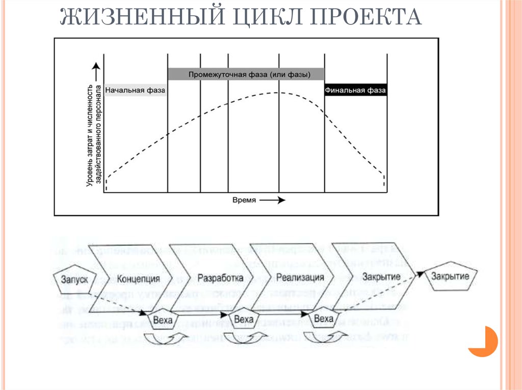 Функции жизненного цикла проекта