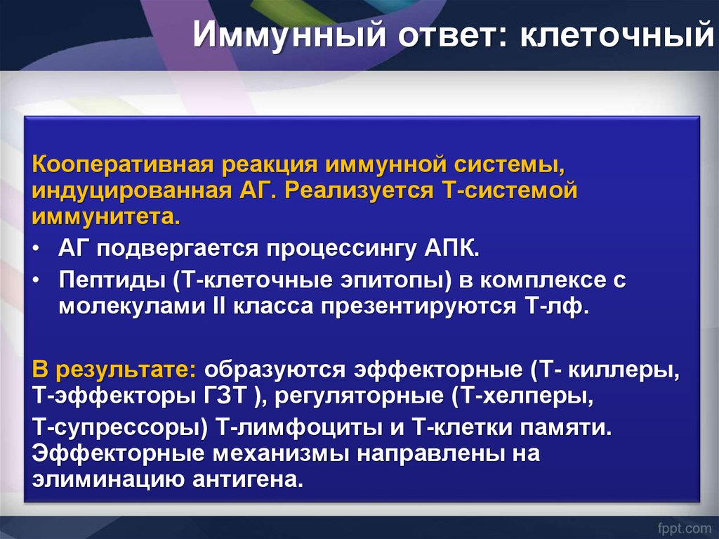 Иммунный ответ индуцируют. Клеточный иммунный ответ. Спонтанный и индуцированный иммунный ответ.