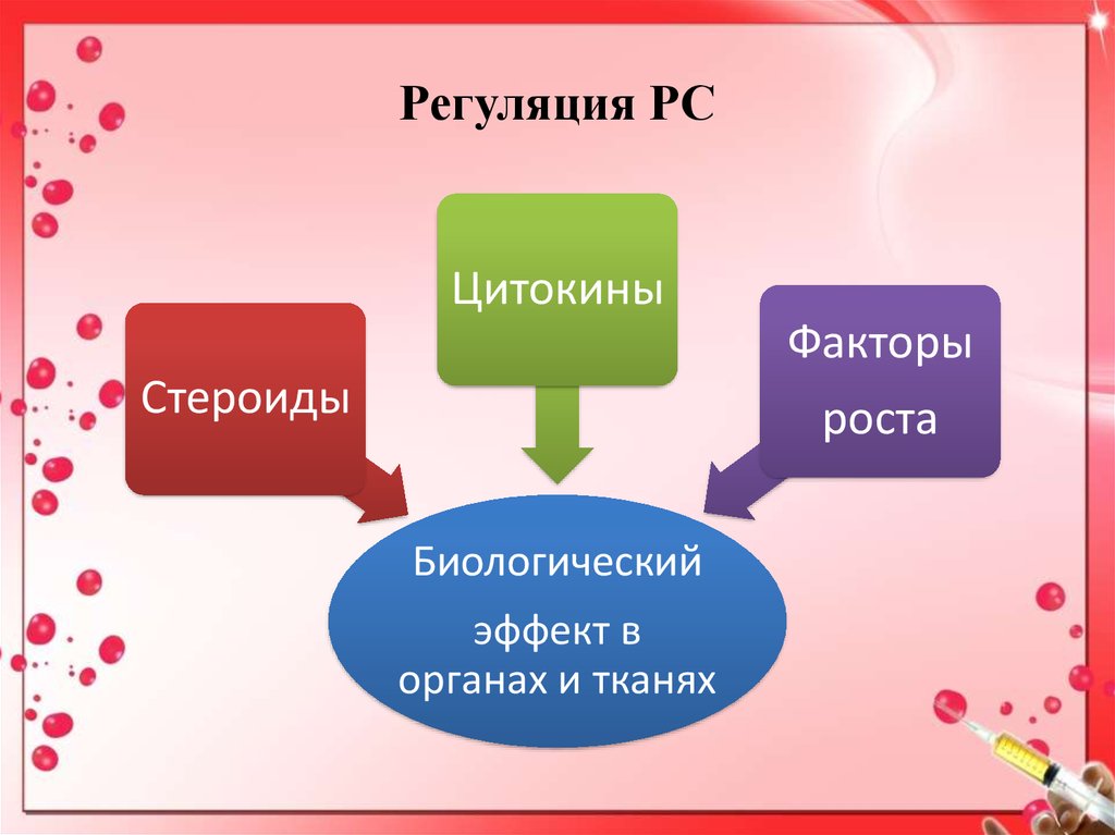 Строение и функции репродуктивной системы 8 класс презентация