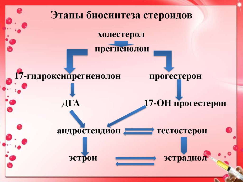 Биосинтез 3 этапа. Этапы биосинтеза. Схема биосинтеза стероидов. Стадии биосинтеза. Биосинтез стероидов.