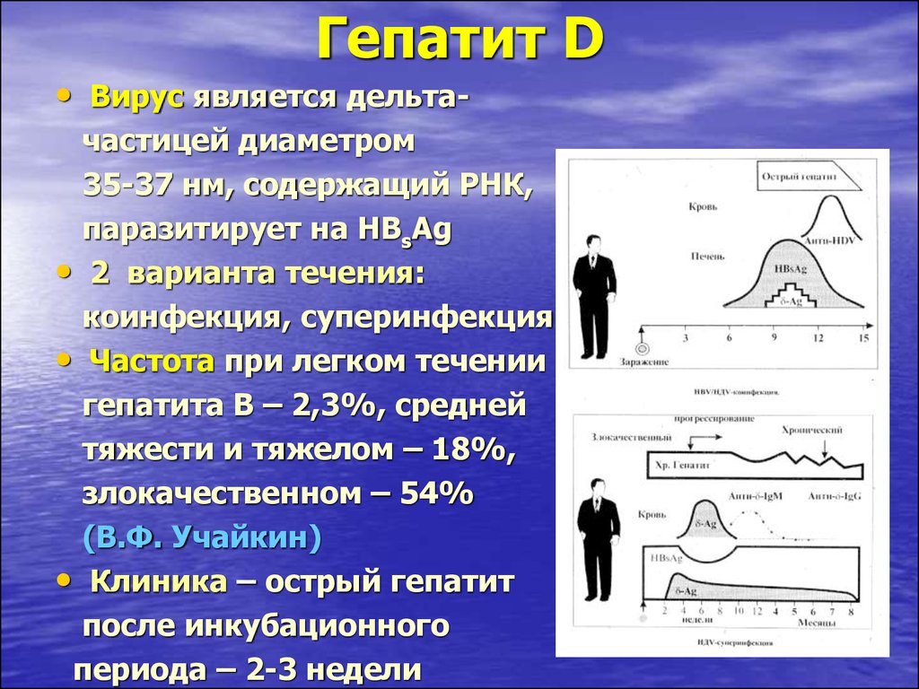 Инкубационный период гепатита д