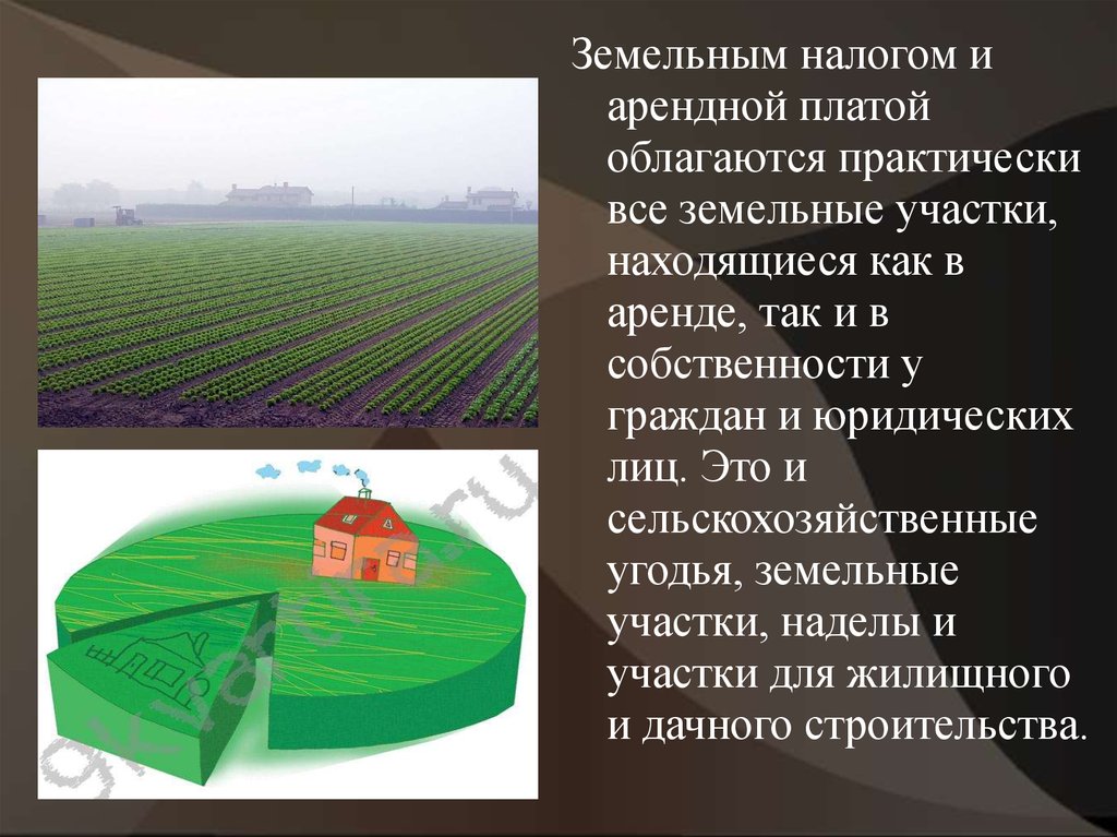 Плата за землю в городах. Земельный налог. Искусственные земельные участки презентация. Земельный налог презентация. Земельный участок для презентации.