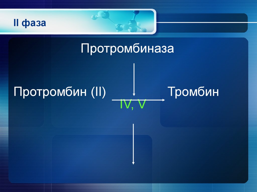 Вторая фаза. Протромбин в тромбин. Протромбин фаза. Протромбин аббревиатура. Тромбин формула.