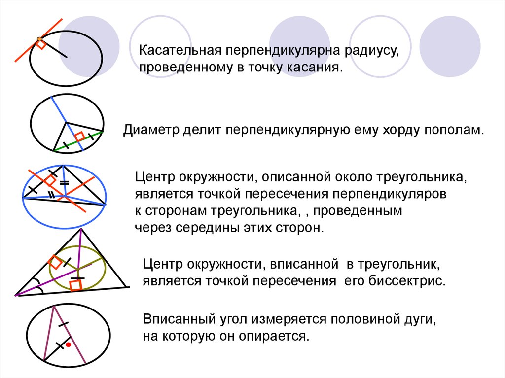 Диаметр делит окружность пополам. Диаметр делит угол пополам. Центр описанной около треугольника окружности это точка пересечения. Касательная к окружности описанной около треугольника. Касательная перпендикулярна.