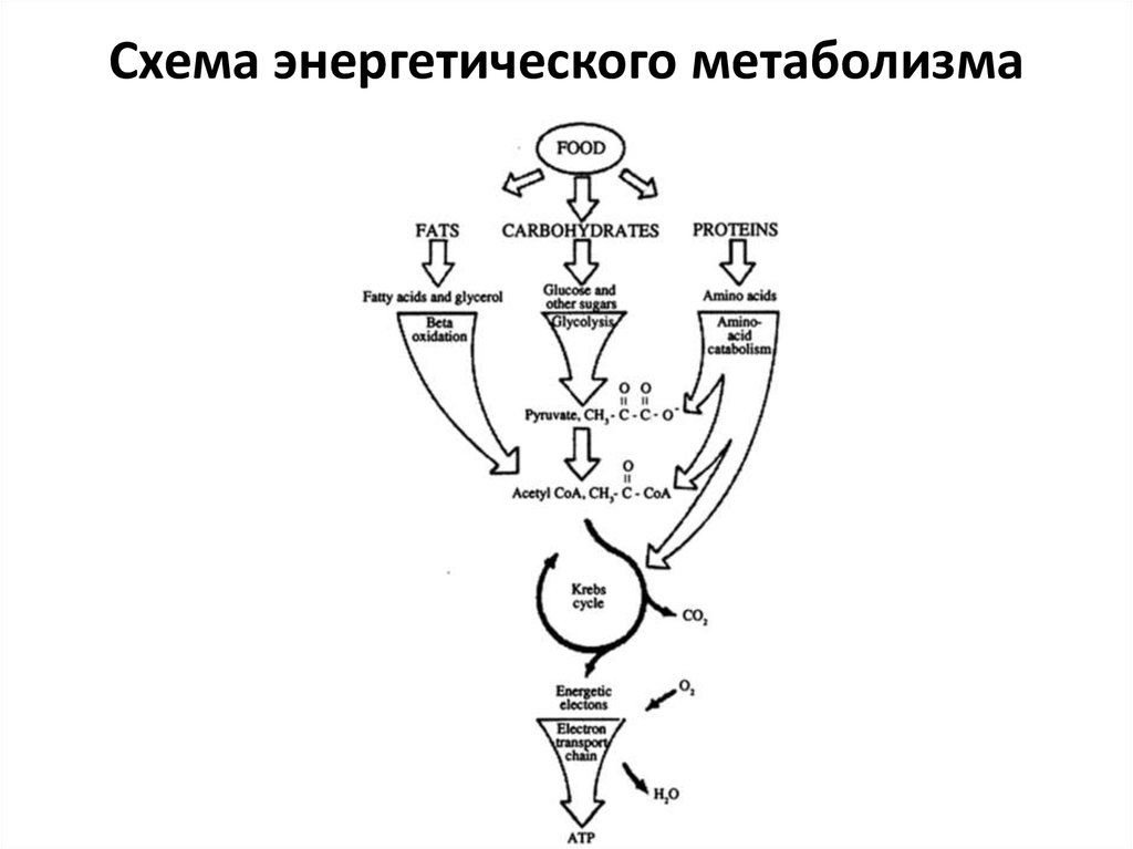 Пример энергетической схемы