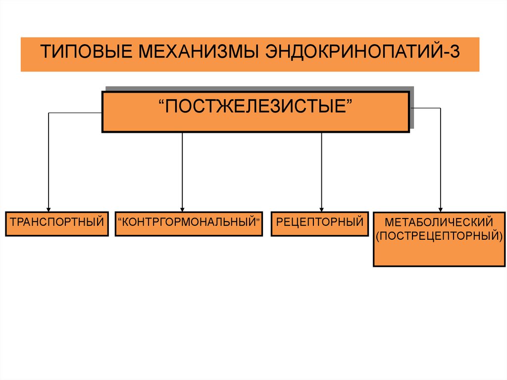 Патофизиология эндокринной системы презентация