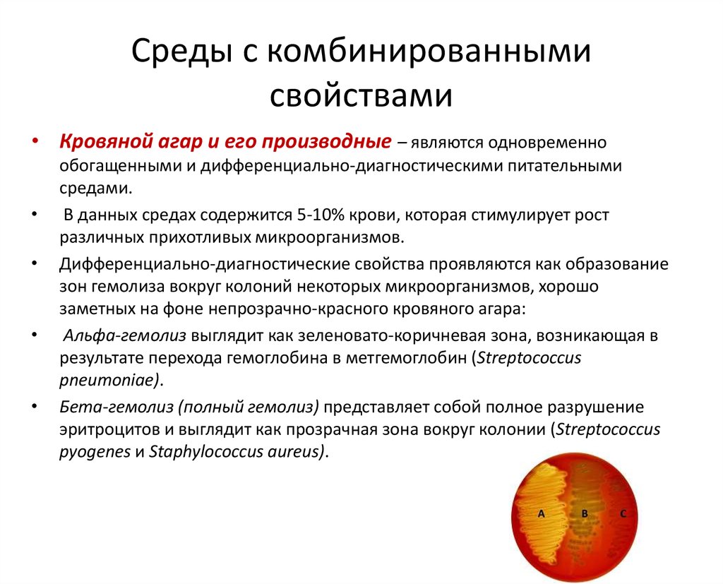 Описание сред. Кровяной агар Назначение. Питательная среда кровяной агар Назначение. Кровяной агар характеристика. Кровяной агар это дифференциально-диагностическая среда.