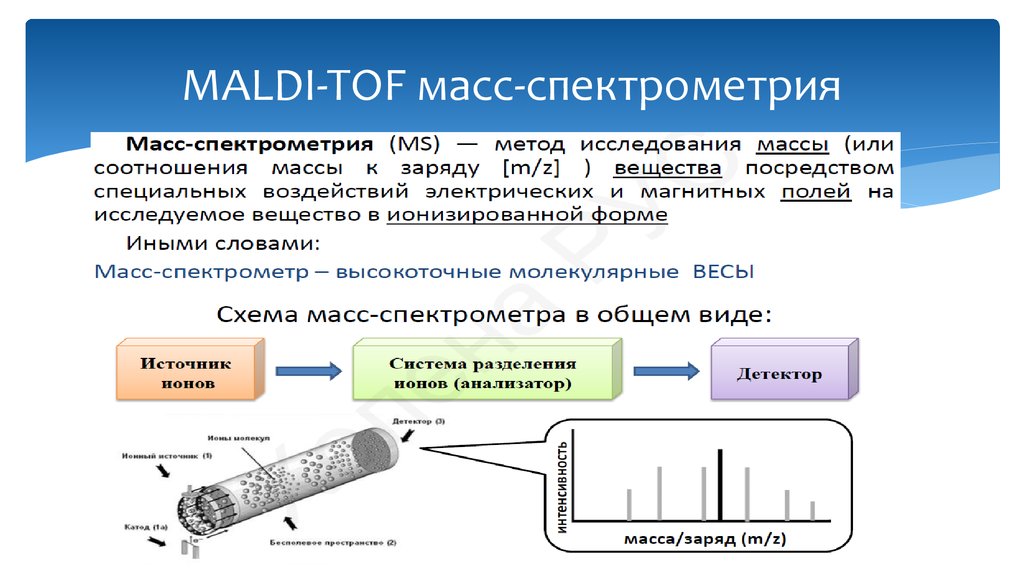 Мс результаты. MALDI масс-спектрометрия. Общая схема метода масс-спектрометрии. Масс-спектрометрия в микробиологии (MALDI – TOF MS). MALDI-TOF спектрометр микробиология.