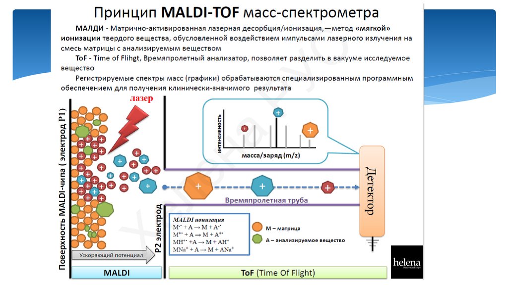 Методы мс. MALDI TOF масс-спектрометрия. Масс спектрометр микробиология. MALDI-TOF спектрометр микробиология. Масс-спектрометр принцип работы схема.