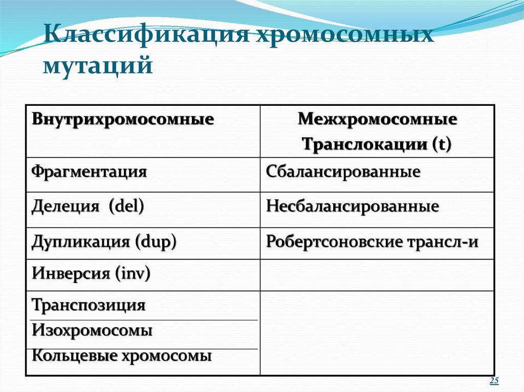 Схема виды хромосомных мутаций