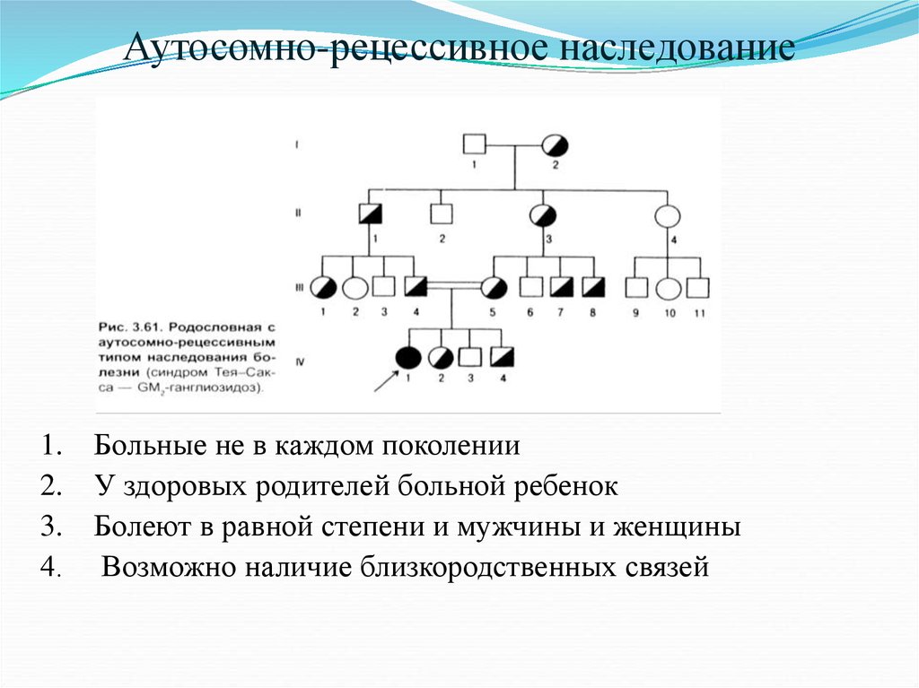 Аутосомно рецессивный тип наследования. Признаки характеризующие аутосомно-рецессивный Тип наследования. Ауто рецессивный Тип наследования. 2) Аутосомно-рецессивное наследование;. Аутосомно-рецессивный Тип наследования вероятность рождения.