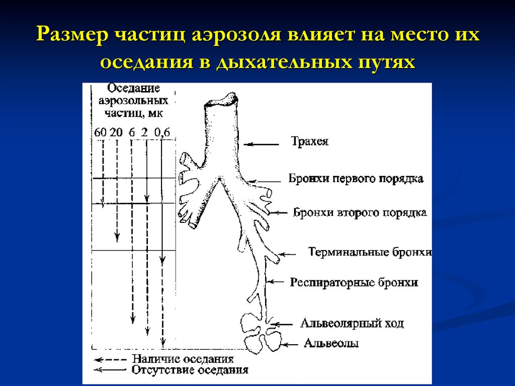 Размер частиц. Размер частиц аэрозоля. Размеры частиц. Размер аэрозольных частиц. Размер частички аэрозоля.