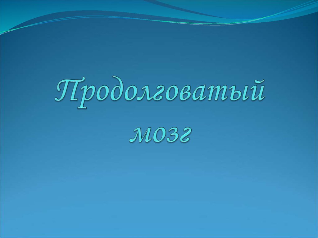Продолговатый мозг