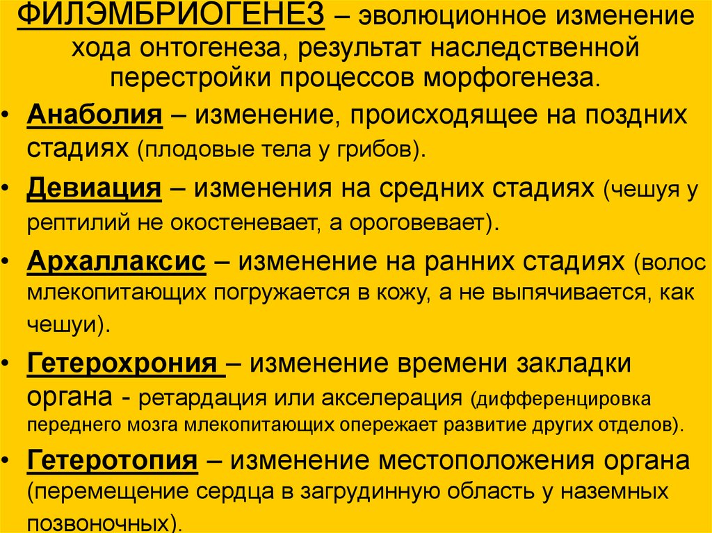 Изменение в ходе. Теория филэмбриогенеза Северцова. Типы филэмбриогенеза. Анаболия девиация архаллаксис. Филэмбриогенезы (анаболии, девиации, архаллаксисы).