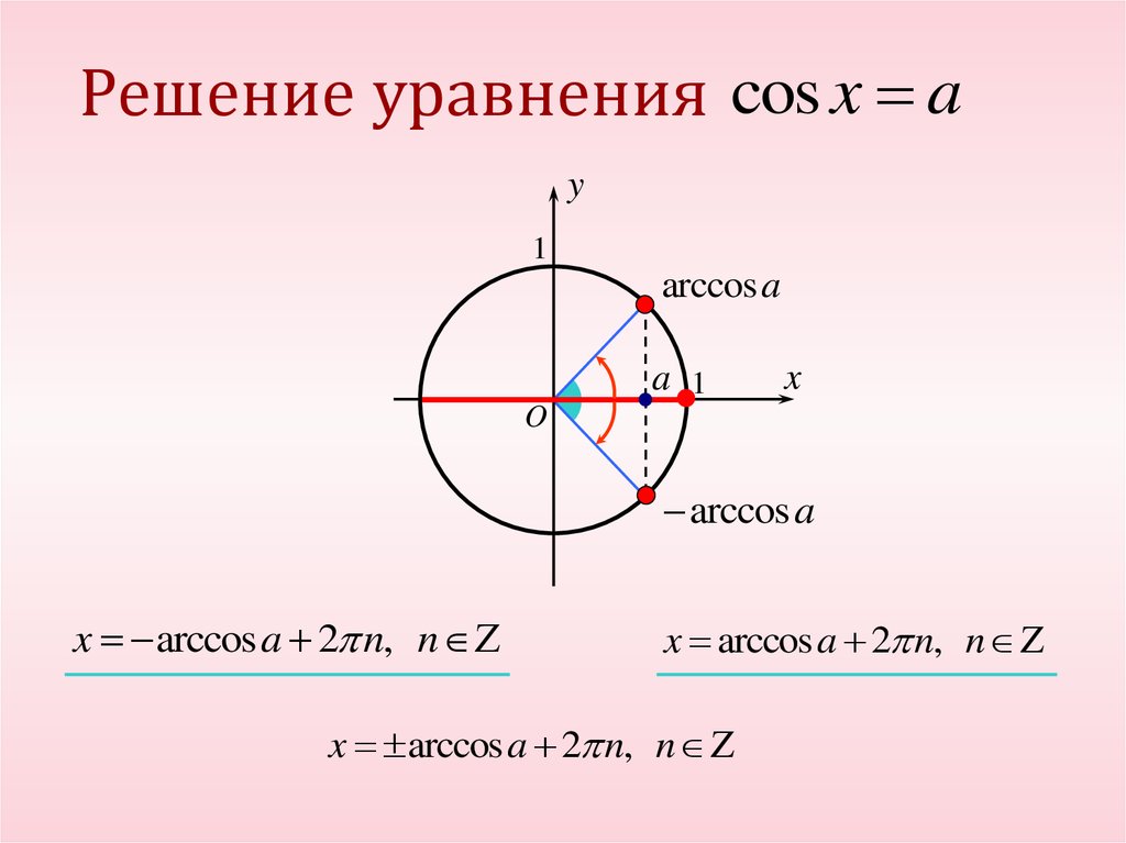 Arccos 1 2. Тригонометрический круг Arccos. Арккосинус. Решение уравнения y=cosx. Арккосинус 1/2.