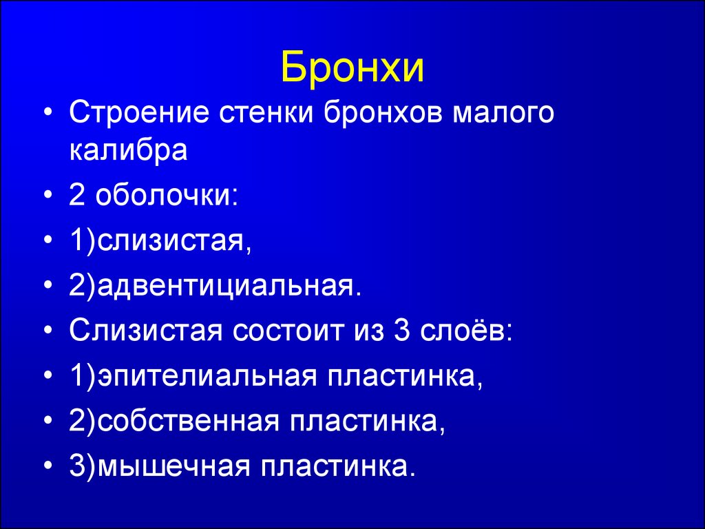 Стенки бронхов. Строение стенки бронхов. Строение бронхиальной стенки. Структура бронхиальной стенки. Строение стенки бронза.