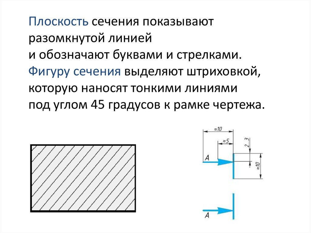 Какие выделяют сечения