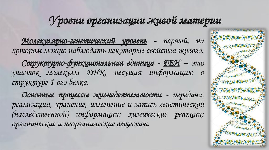 Молекулярный уровень жизни значение и роль в природе презентация 11 класс