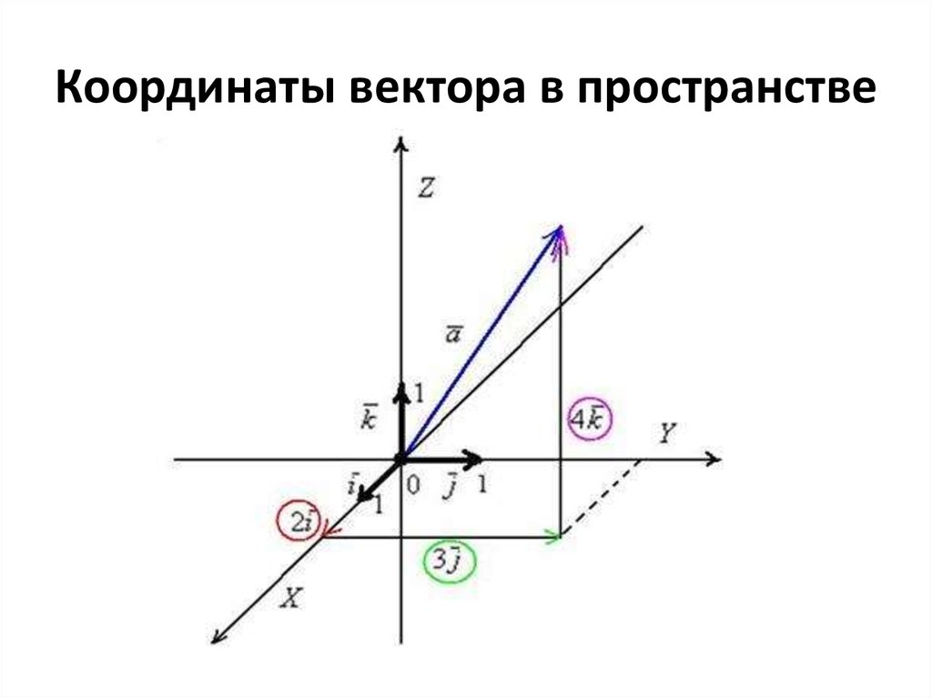 Построить точки и векторы. Построение векторов в пространстве. Координаты вектора в пространстве. Вектор в пространстве координаты вектора. Координаты вектор в трехмерном пространствое.