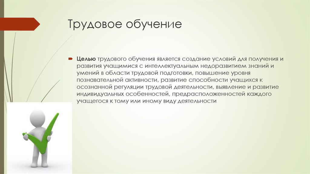 Обучение трудовой деятельности. Успехи в трудовом обучении. Цель трудового обучения. Портфолио успехи в трудовом обучении. Успехи в трудовом обучении 2 класс.