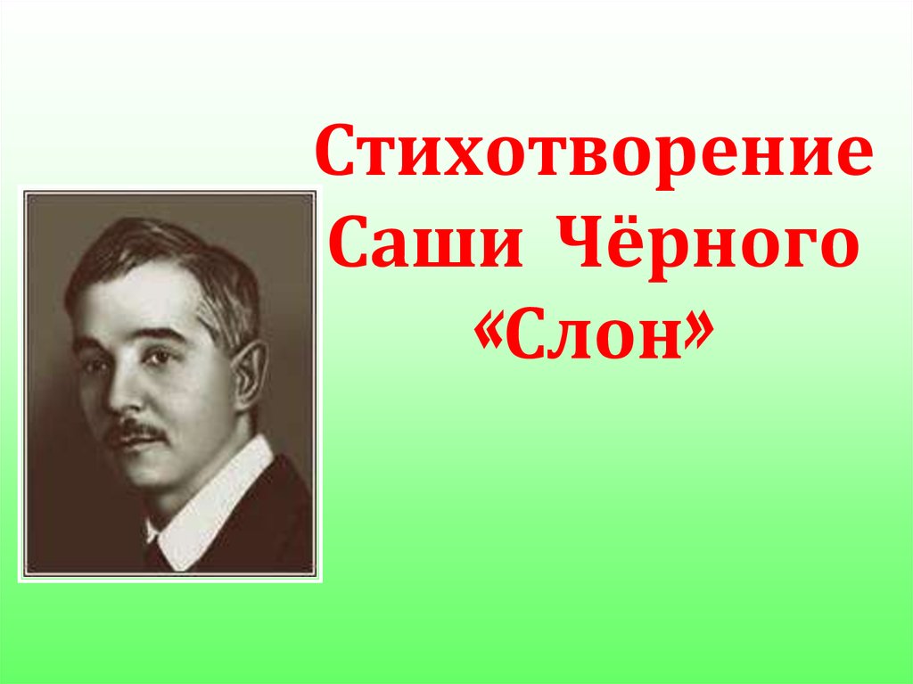 Стих саша. Саша черный. Саша черный слон. Саша черный Слоник. Произведение слон Саша черный.