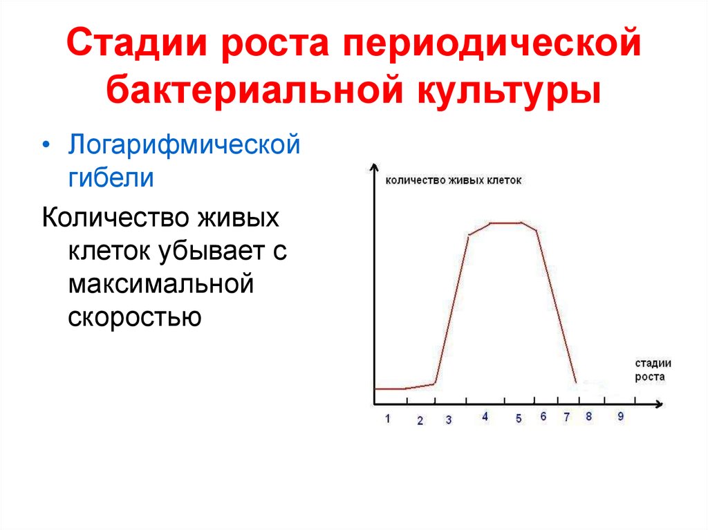 Стадия роста. Стадии роста периодической бактериальной культуры. Параметры роста периодической культуры.