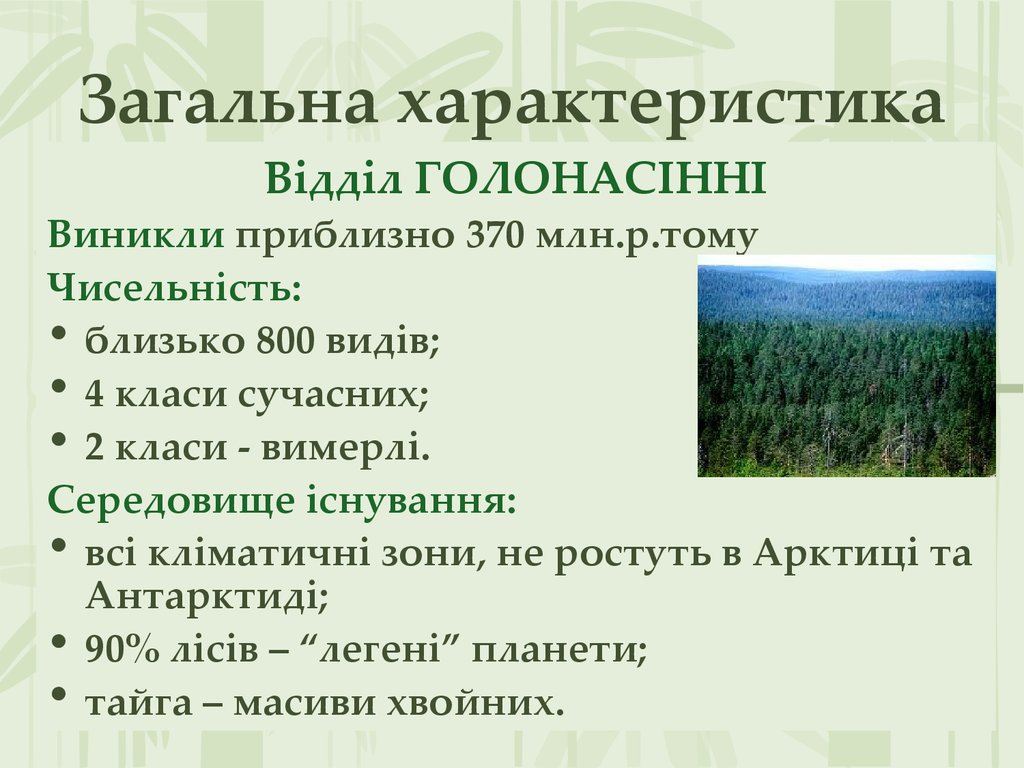 Реферат: Відділ Голонасінні