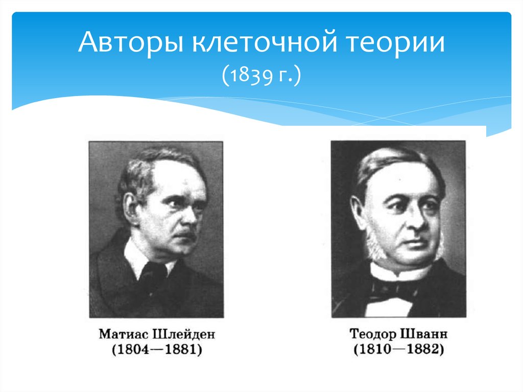 3 клеточная теория. Авторы клеточной теории Теодор. Авторы клеточной теории являются. Авторами клеточной теории считаются. Авторы и положения клеточной теории.