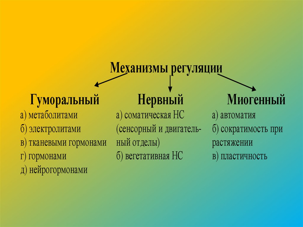 Какие механизмы регуляции. Регуляция сердечной деятельности (миогенная, гуморальная, нервная).. Нервный механизм регуляции сердца. Нервный и гуморальный механизмы регуляции. Гуморальный механизм регуляции.