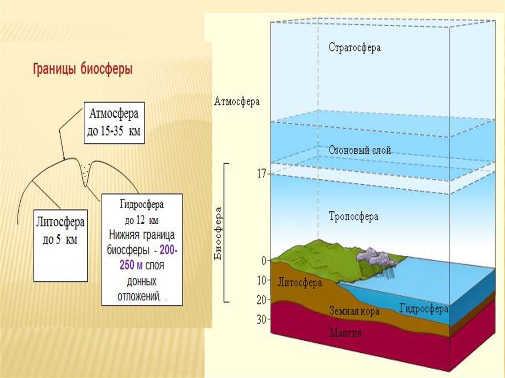 Верхняя граница в атмосфере определяется. Схема границы биосферы 6 класс. Рис 103 границы биосферы. Granisi biosferi. Нижняя граница биосферы.