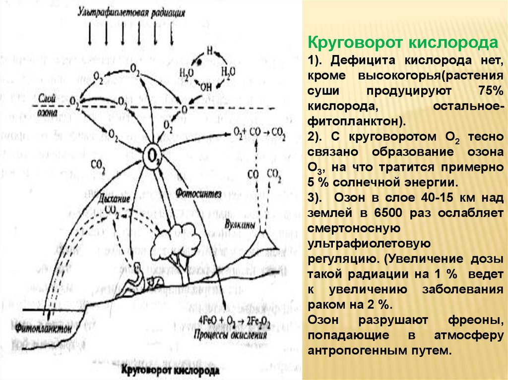 Круговорот кислорода. Растения круговорот кислорода. Круговорот кислорода про Озон. Антропогенное воздействие на круговорот кислорода. Недостаток кислорода в природе причина.