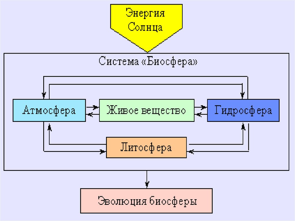 Биосфера 3