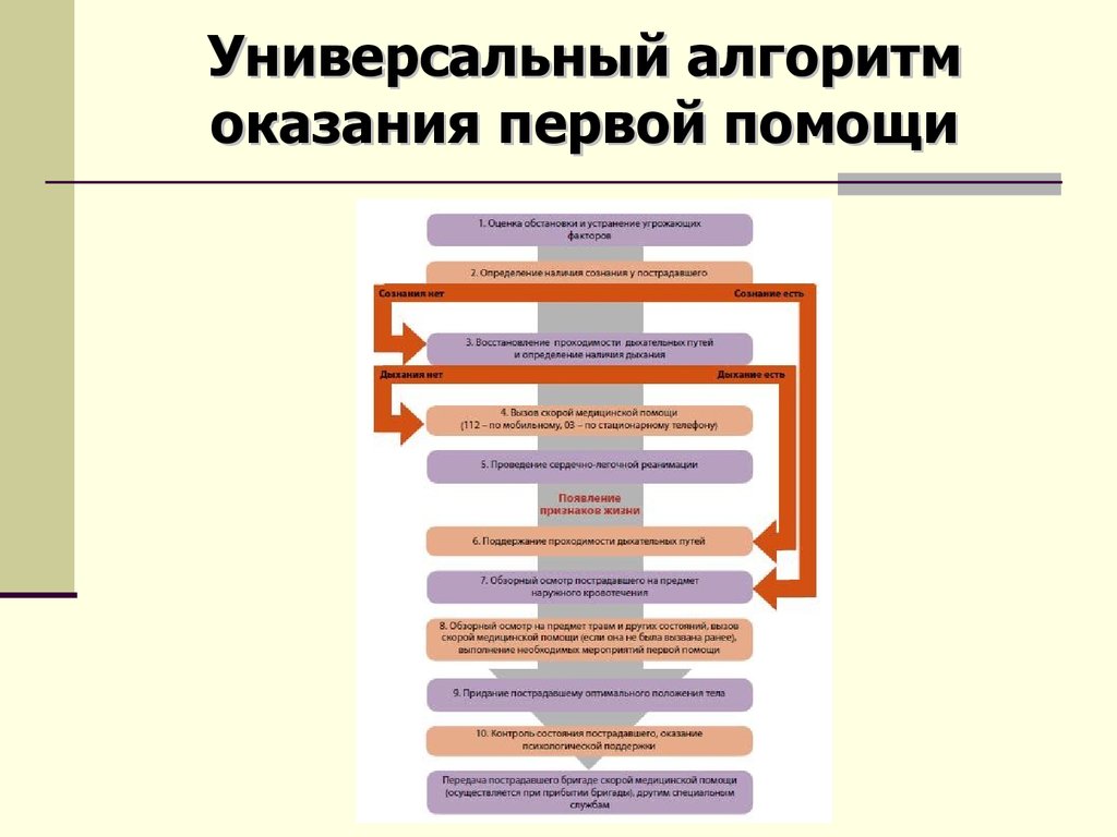 Алгоритм оказания пп. Универсальный алгоритм оказания ПМП. Алгоритм оказания первой помощи, согласно универсальному алгоритму.. 1.Универсальный алгоритм оказания первой помощи.. Схема алгоритма оказания первой помощи.