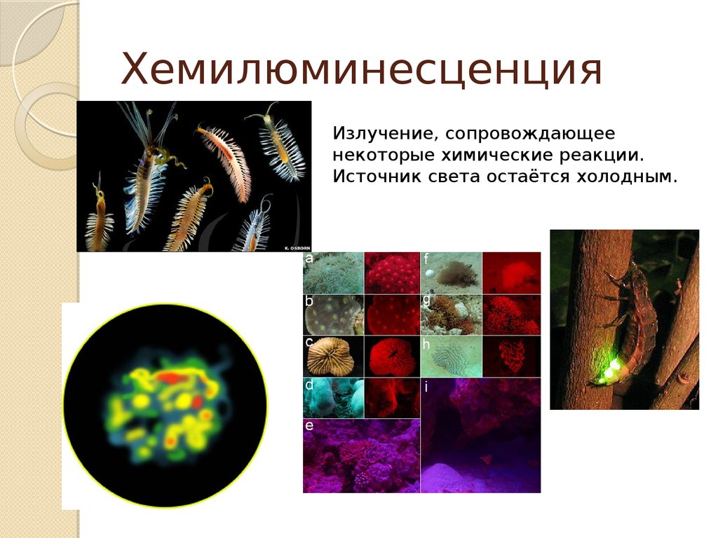 Хемилюминесценция презентация по физике