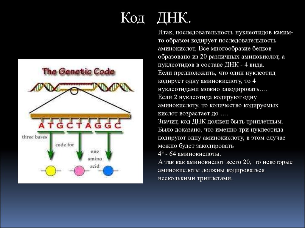 2 генетический код его свойства