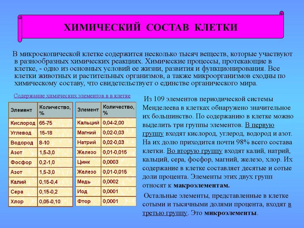 Химический состав клетки 5. Основные химические элементы клетки таблица. Таблица элементы входящие в состав клеток организмов. Биологические важные химические элементы клетки. Важнейшие химические элементы клетки таблица.