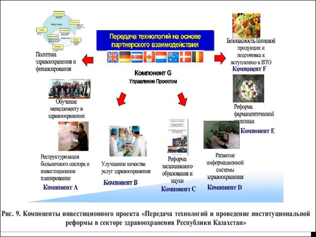 Управление службами. Компоненты здравоохранения. Система здравоохранения составляющие элементы. Компоненты управления в здравоохранении.