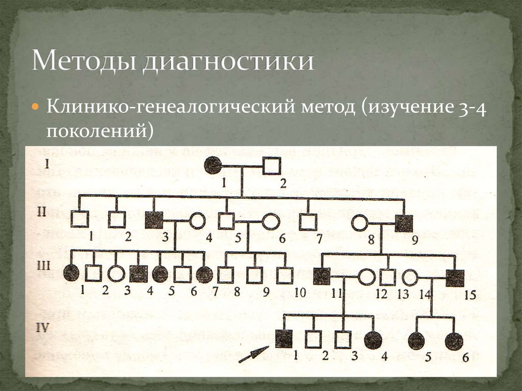 Генеалогический метод. Клинико-генеалогический метод Древо. Клинико-генеалогический метод составление родословной. Что такое клинико-генеалогический метод исследования. Схема генеалогического метода.