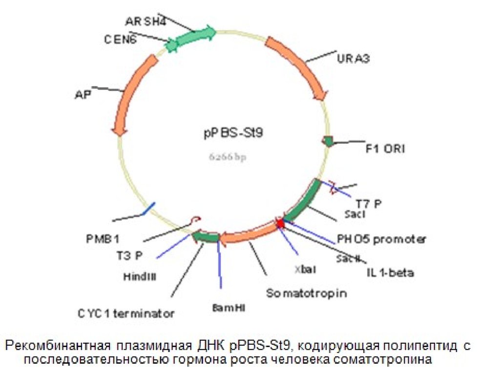 online вычислительные аспекты решения задач оптимального