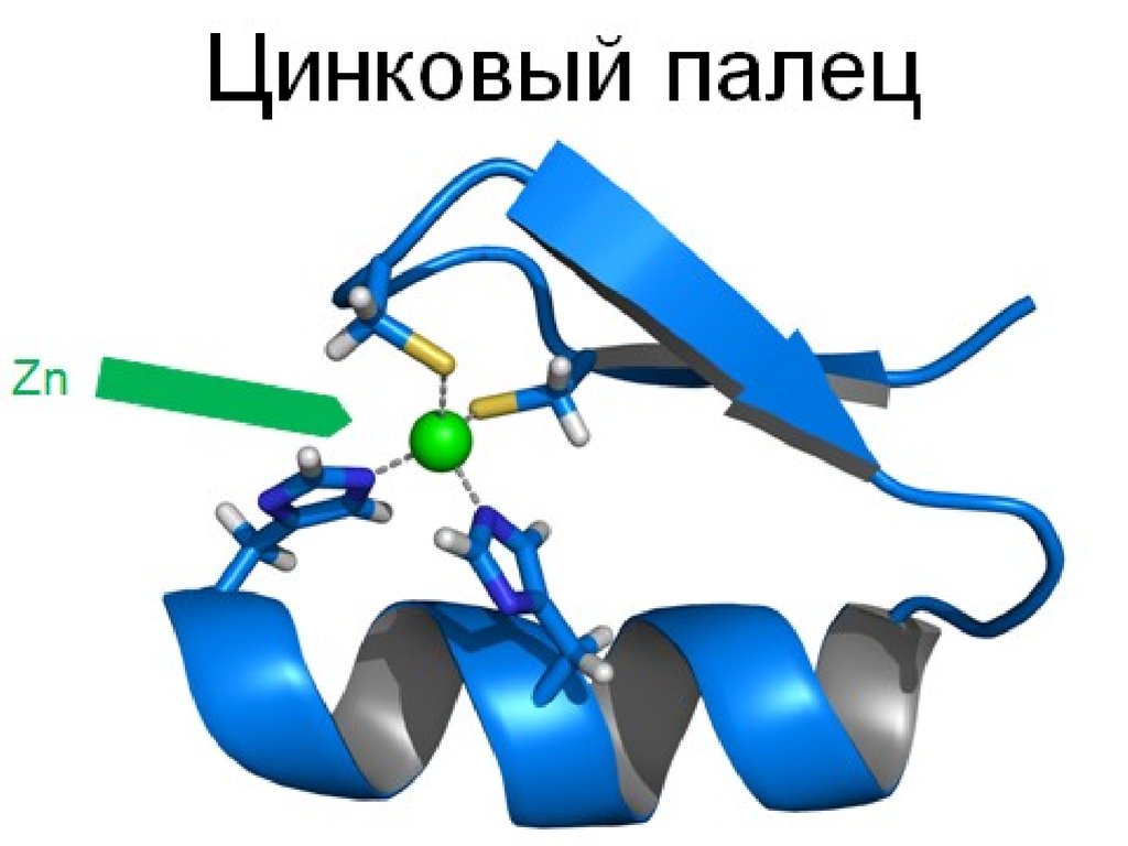 diagnosis of the nitrogen status