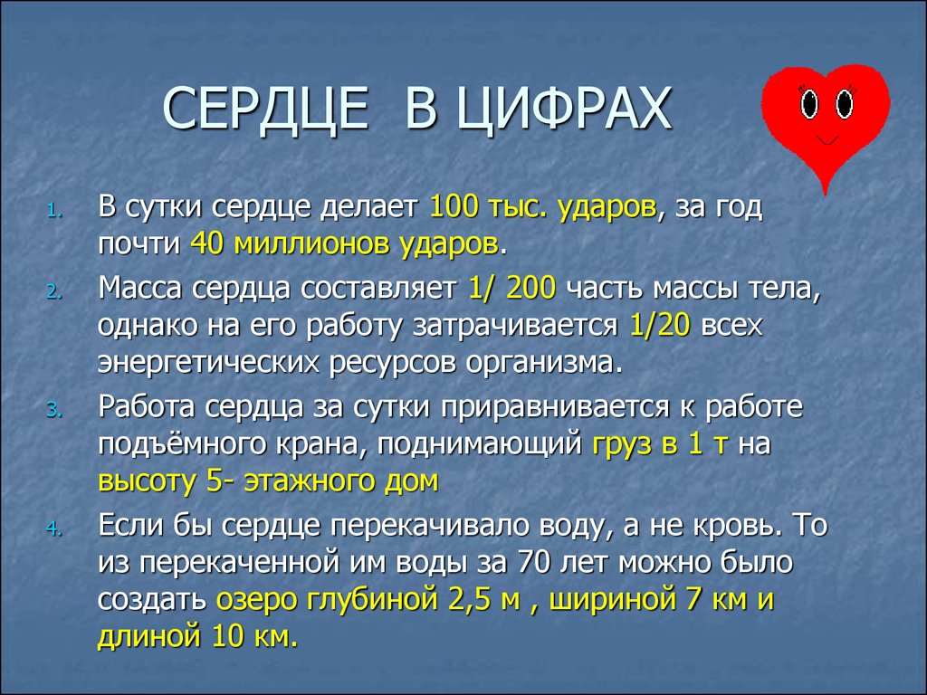 Цифры за сутки