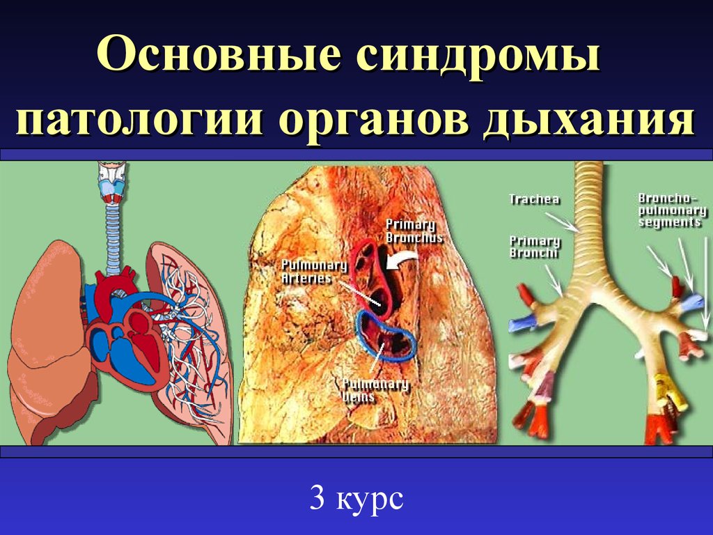 Патология внешнего дыхания презентация