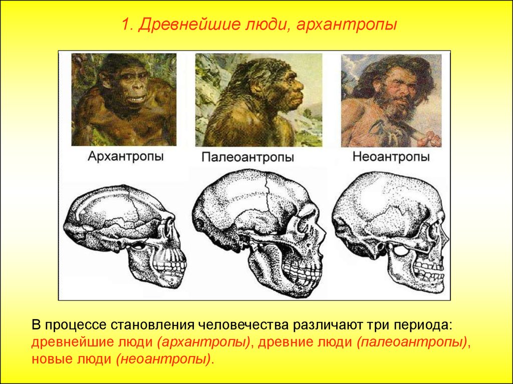 Первые представители этой профессии появились с возникновением первой компьютерной сети говорят что