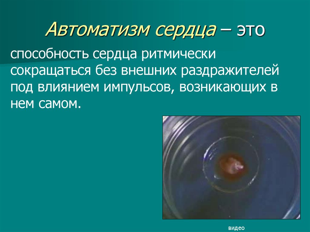 Автоматизм это. Автоматизм сердца это способность. Способность сердца сокращаться под влиянием импульсов. Способность сердца ритмически сокращаться под влиянием. Автоматизм сердца.