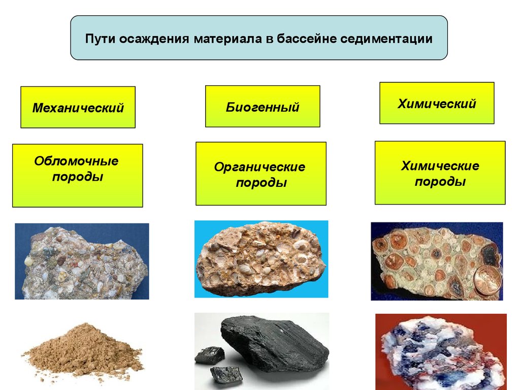 Приведите примеры пород