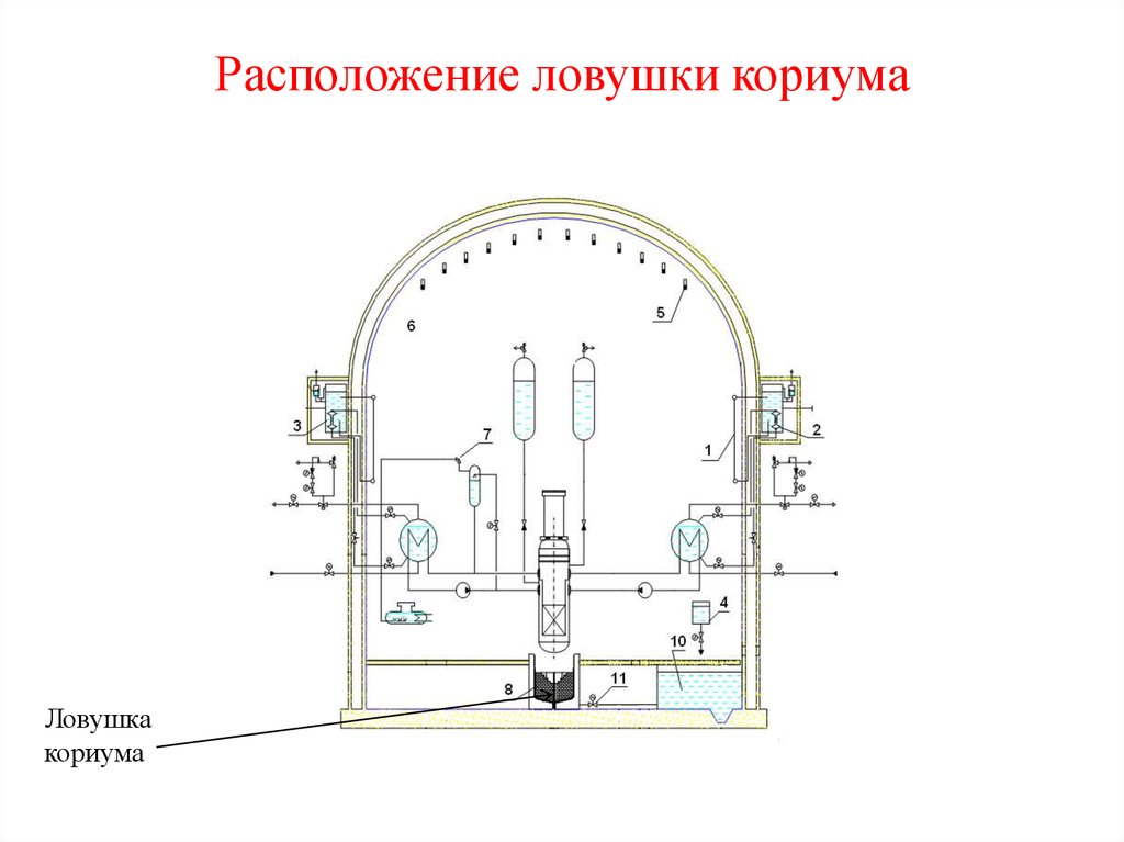 Схема размещения ловушек для грызунов образец