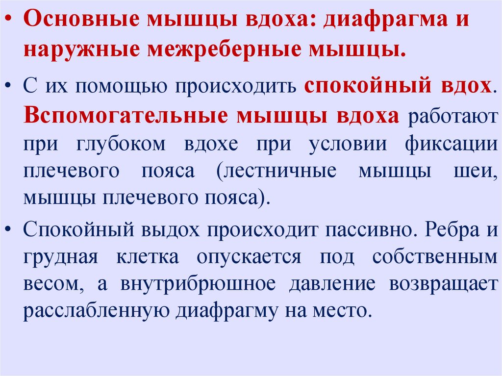 Мышцы вдоха. Вспомогательные мышцы при Глубоком вдохе. Основные мышцы вдоха. При Глубоком вдохе включается вспомогательные мышцы. Спокойный вдох.